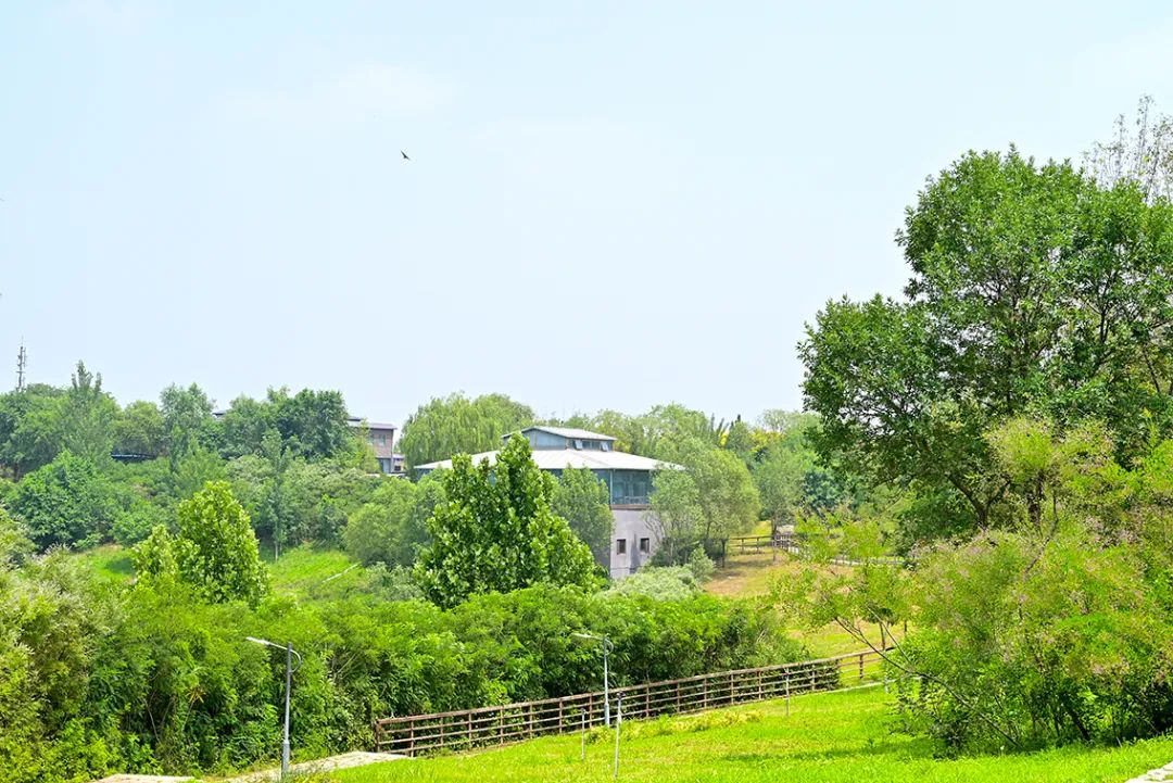 海淀区即将开放的公园,海淀新建的公园