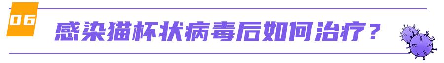 猫咪舌头有溃疡，怎么办？