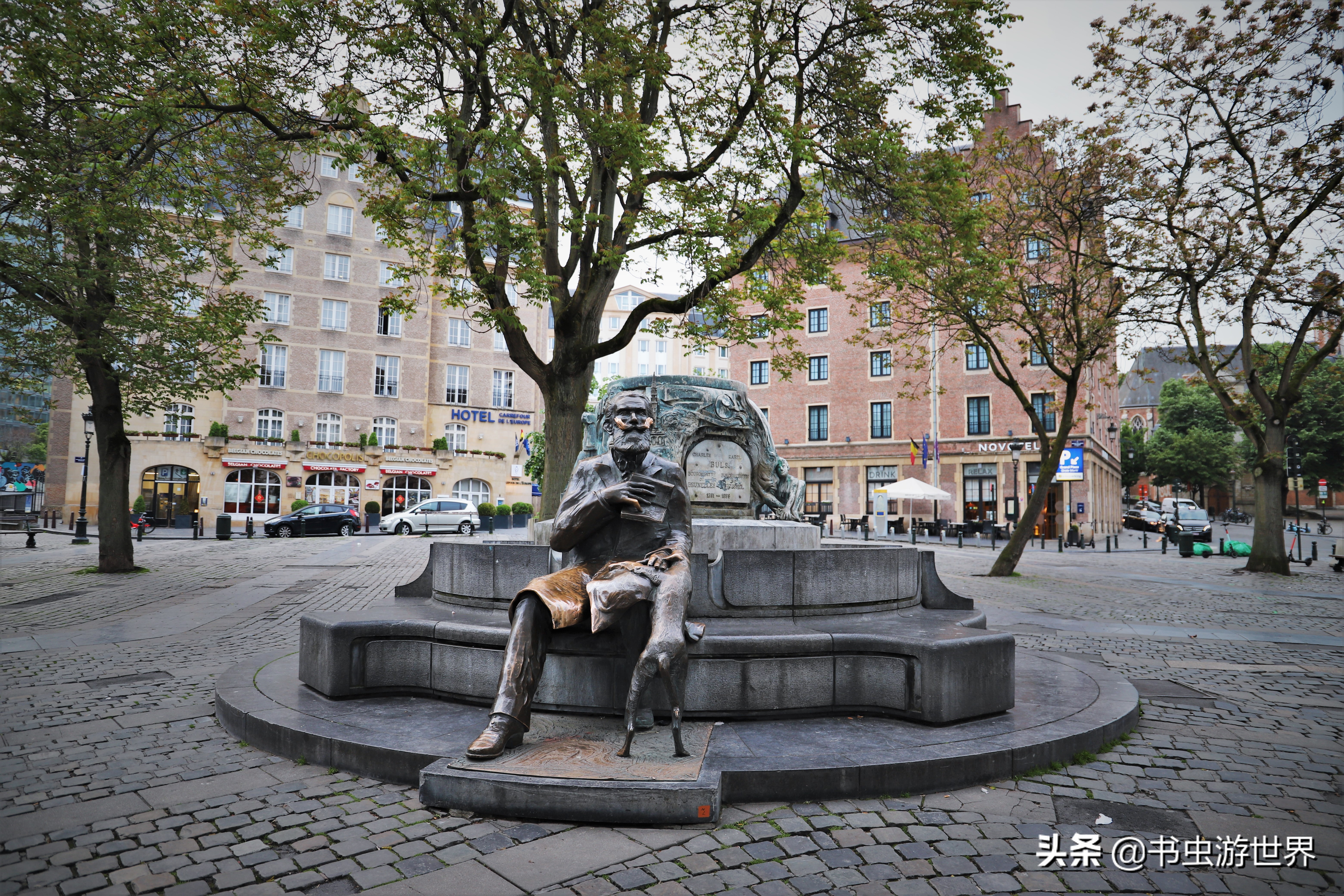 同样是布偶猫差别咋就这么大,布鲁和布鲁