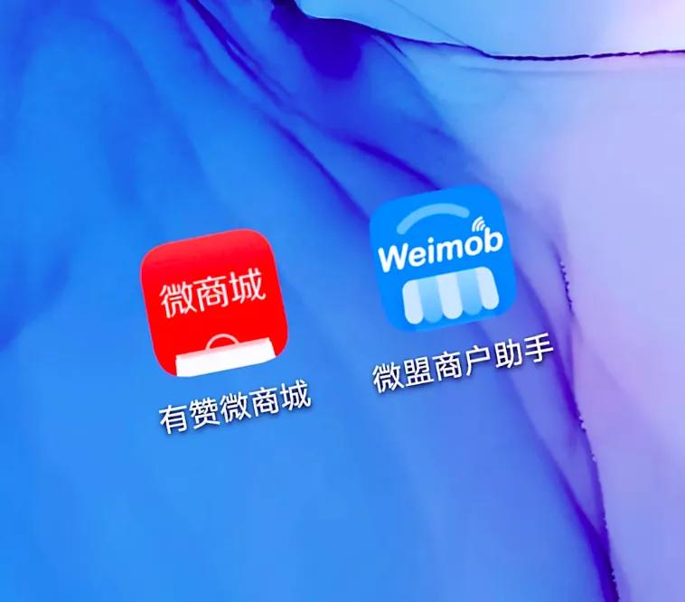 有赞跟微盟哪个贵,有赞和微盟哪个结款快