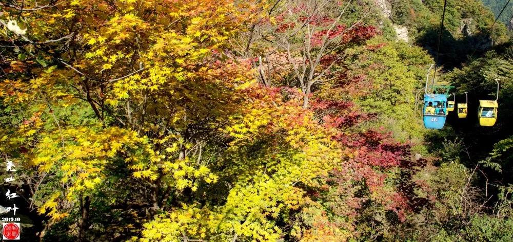 尧山看红叶攻略,看红叶的地方推荐冷门地区两日游