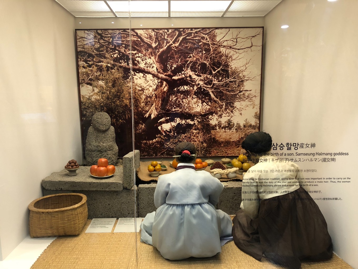 不会韩语去济州岛怎么自由行,济州岛两天旅行攻略