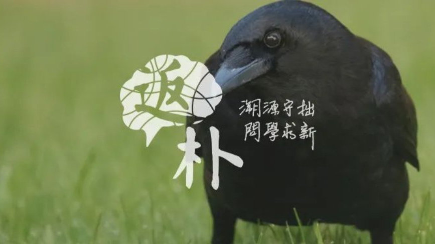 动物中的数学天才说明什么,动物中的数学天才及原因