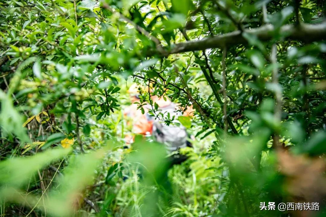 铁路危石处理,铁路危石施工单位处理吗