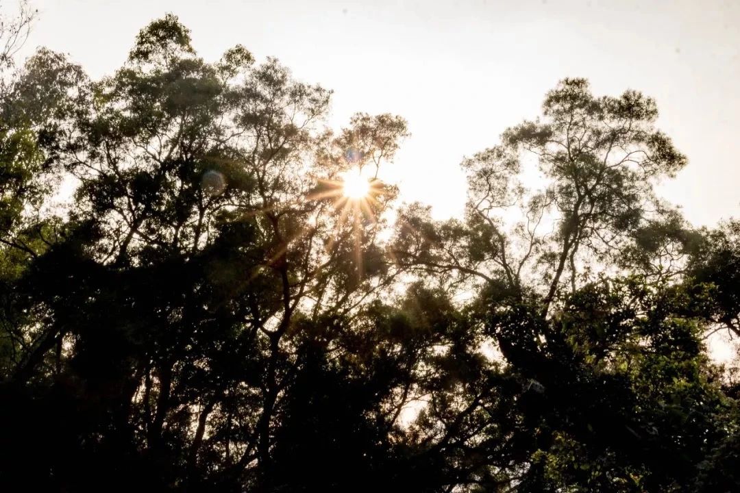 深圳各区最美的地方,深圳6个绝美地方