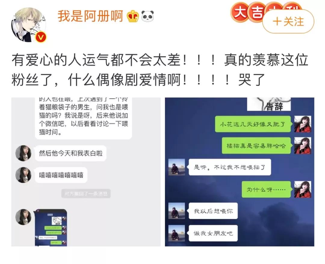 我家猫送亲戚了准备再养一只猫,给我家猫新交了一个嘚瑟的朋友