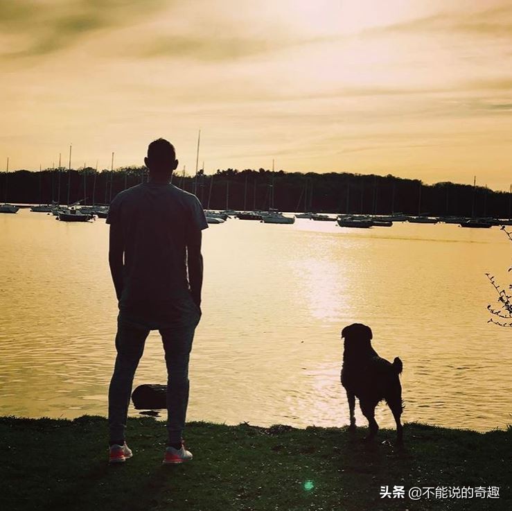 一张让人心碎的照片,这张照片让人落泪