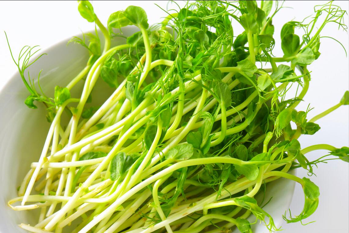 蔬菜种子贵吗,蔬菜秧苗贵吗