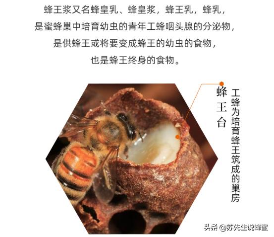 蜂王浆，拯救高血压患者的一根稻草