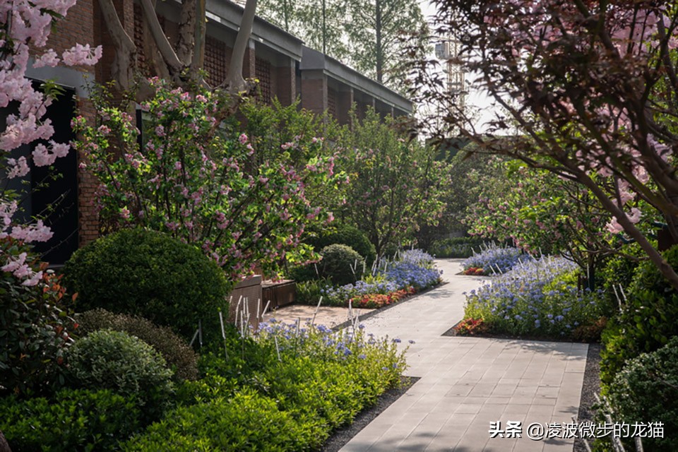 景观道路设计图片,一条景观路设计图片