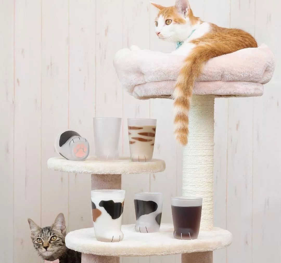 按头安利！5块钱淘宝好物，解决最难搞的收纳问题