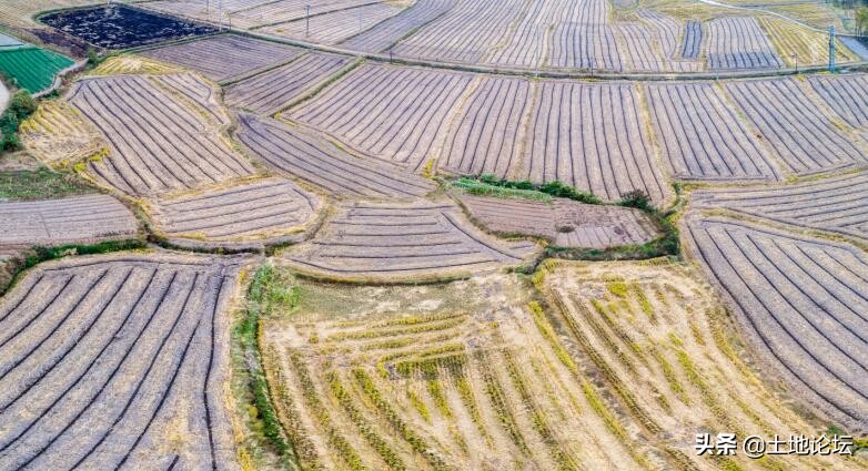 以后农民不种地吃啥,农民种地的出路在哪里