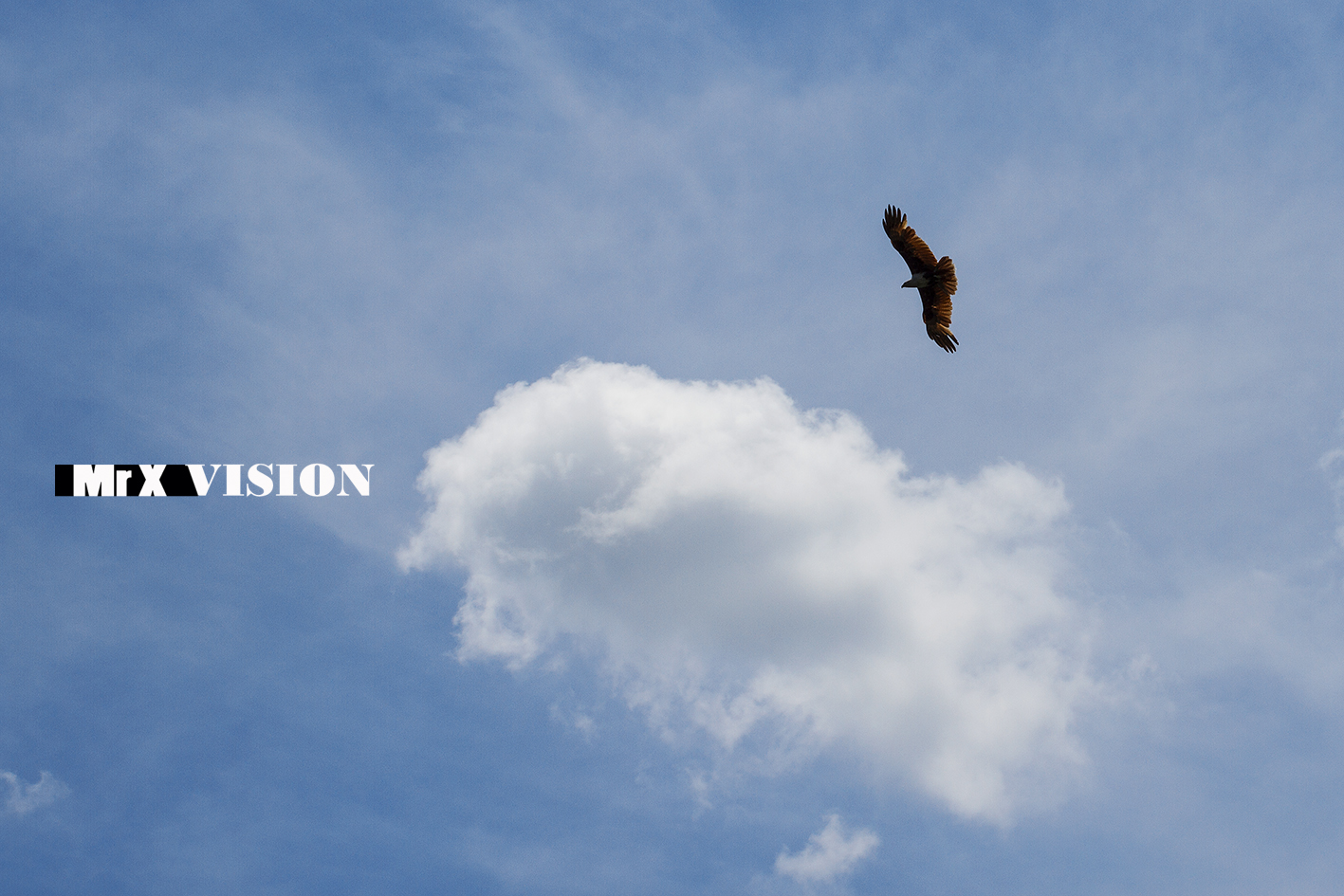 老相机和新相机画质,老相机佳能