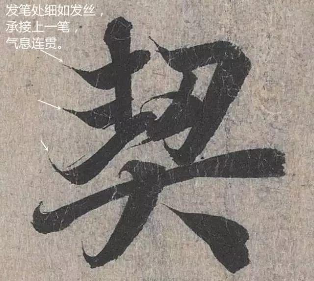 先把基础知识学好,先把基础练好再练技术动作