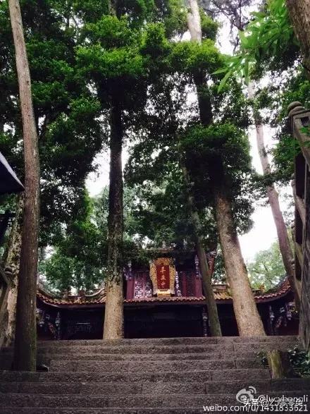 成都周边爬山的好地方人少免费,大年初一成都周边登山游一日游