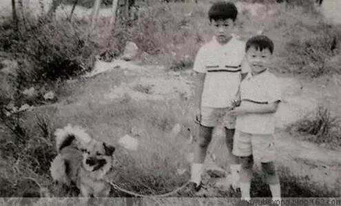 永远的黄家驹光辉岁月,永远的黄家驹