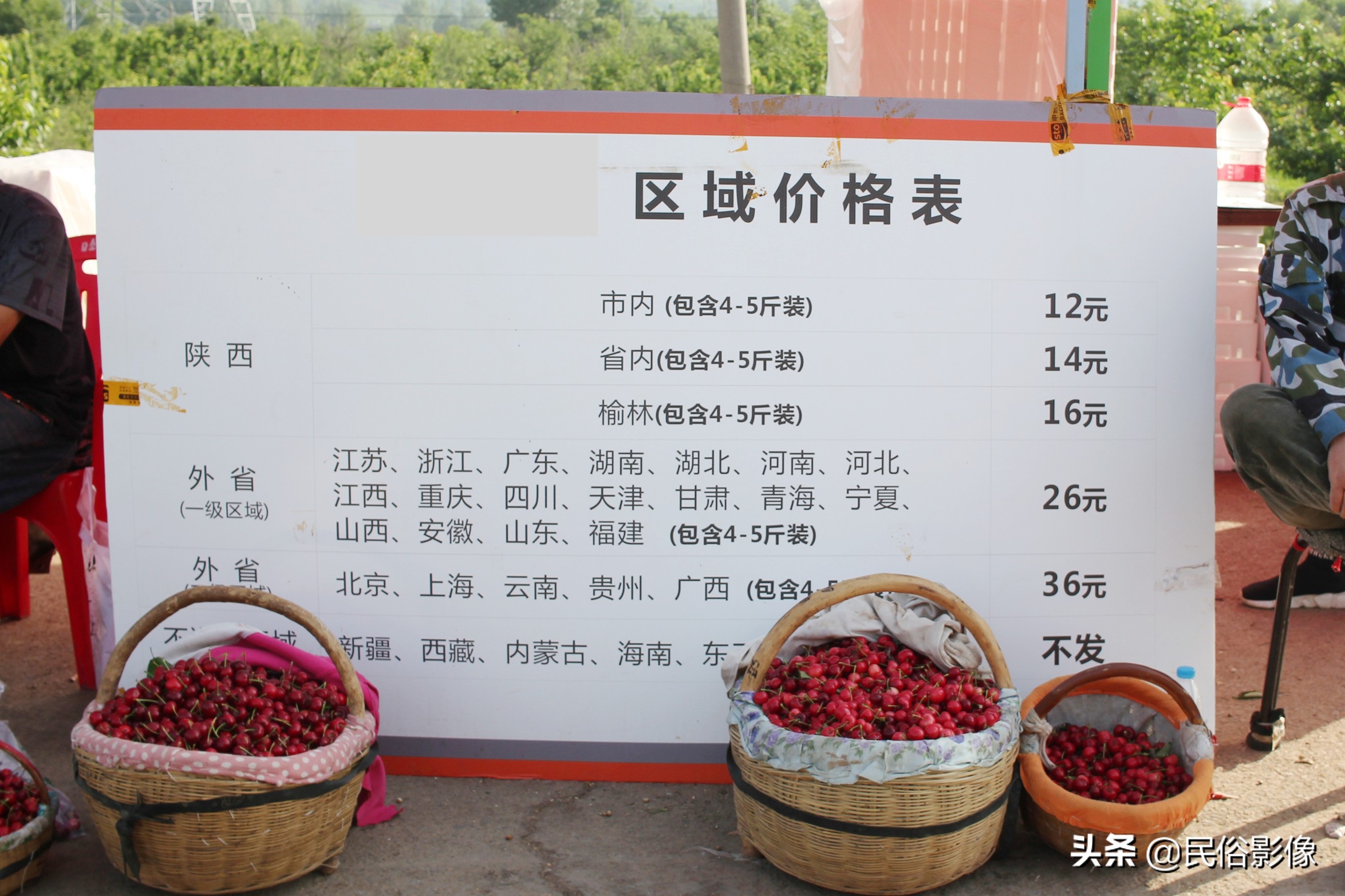 樱桃价格为什么相差那么大,大连美早樱桃价格表