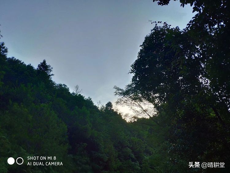 赣州峰山附近一日游自驾游景点,赣州峰山美景