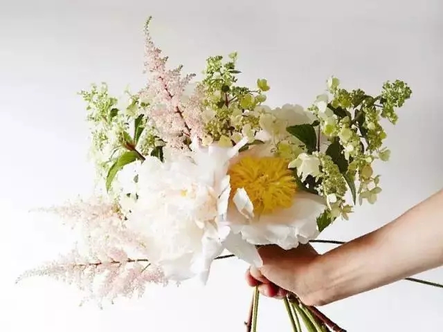 花语大全：各种鲜花的花语，不同颜色寓意也不一样啊