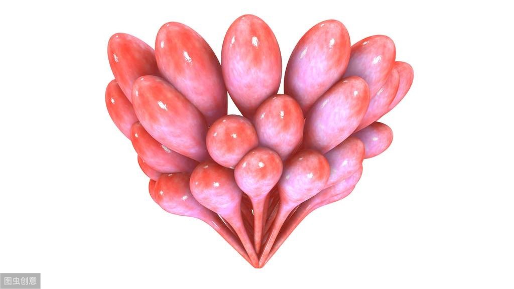 灏忓彾澧炵敓鏄粈涔堟剰鎬濆晩,涔宠吅灏忓彾澧炵敓鑳借嚜鎰堝悧