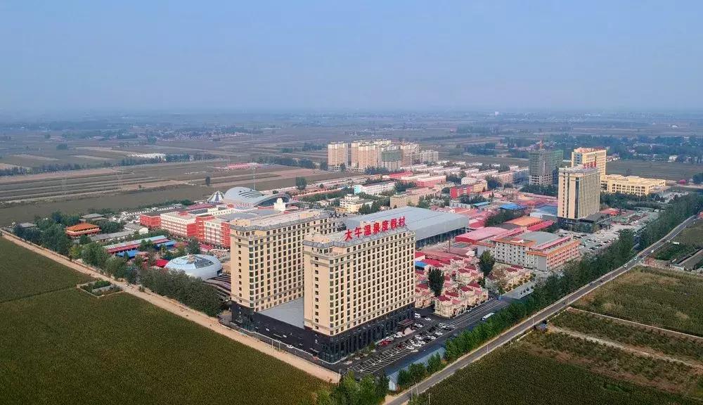 大午集团经营分析,大午集团卖什么