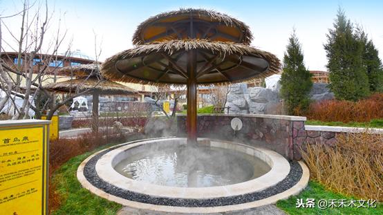 南方的孩儿爱上北方的海