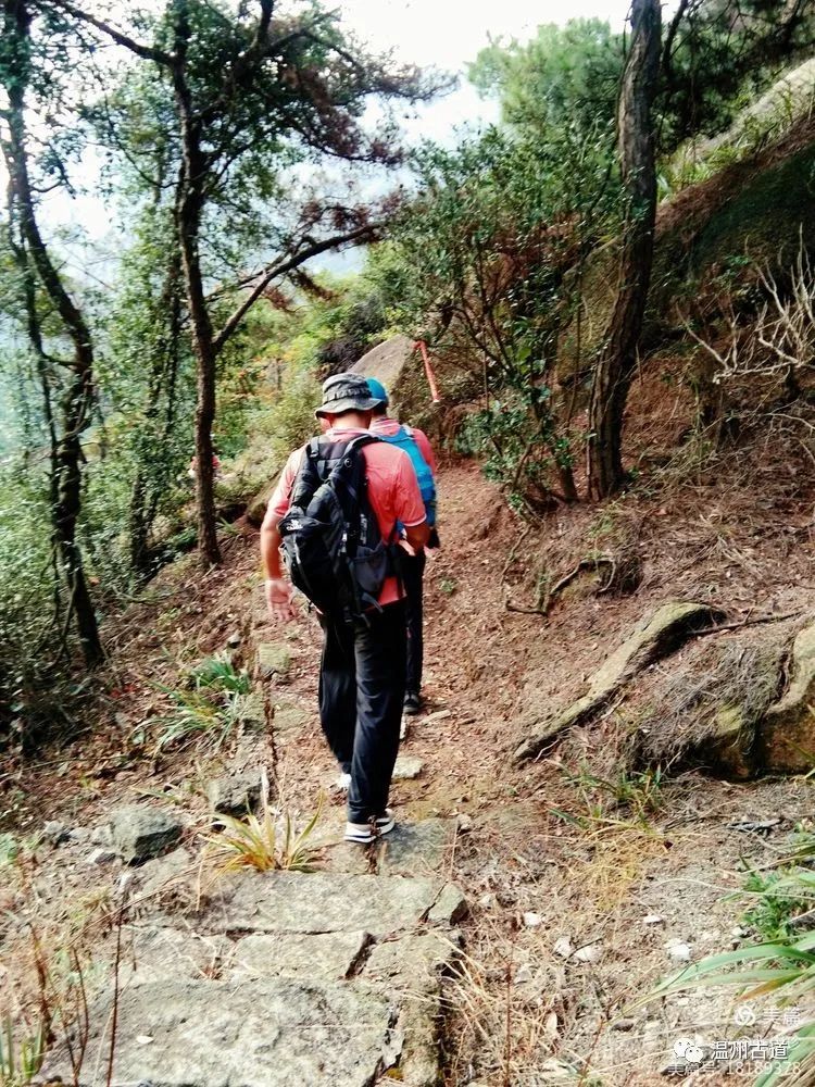 大罗山最佳爬山路线徒步,大罗山经典徒步路线55公里