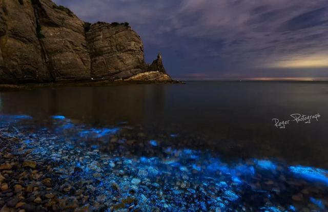 突然就想去旅游了,忽然间就想去厦门了