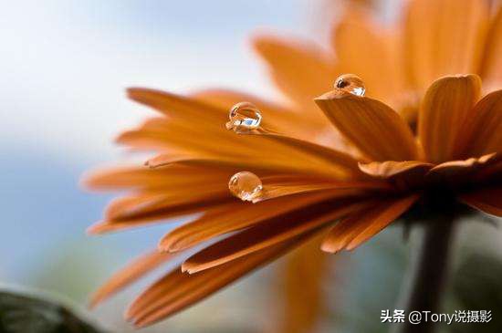 单反相机拍照怎么查看光圈优先,单反相机光圈优先拍摄技巧