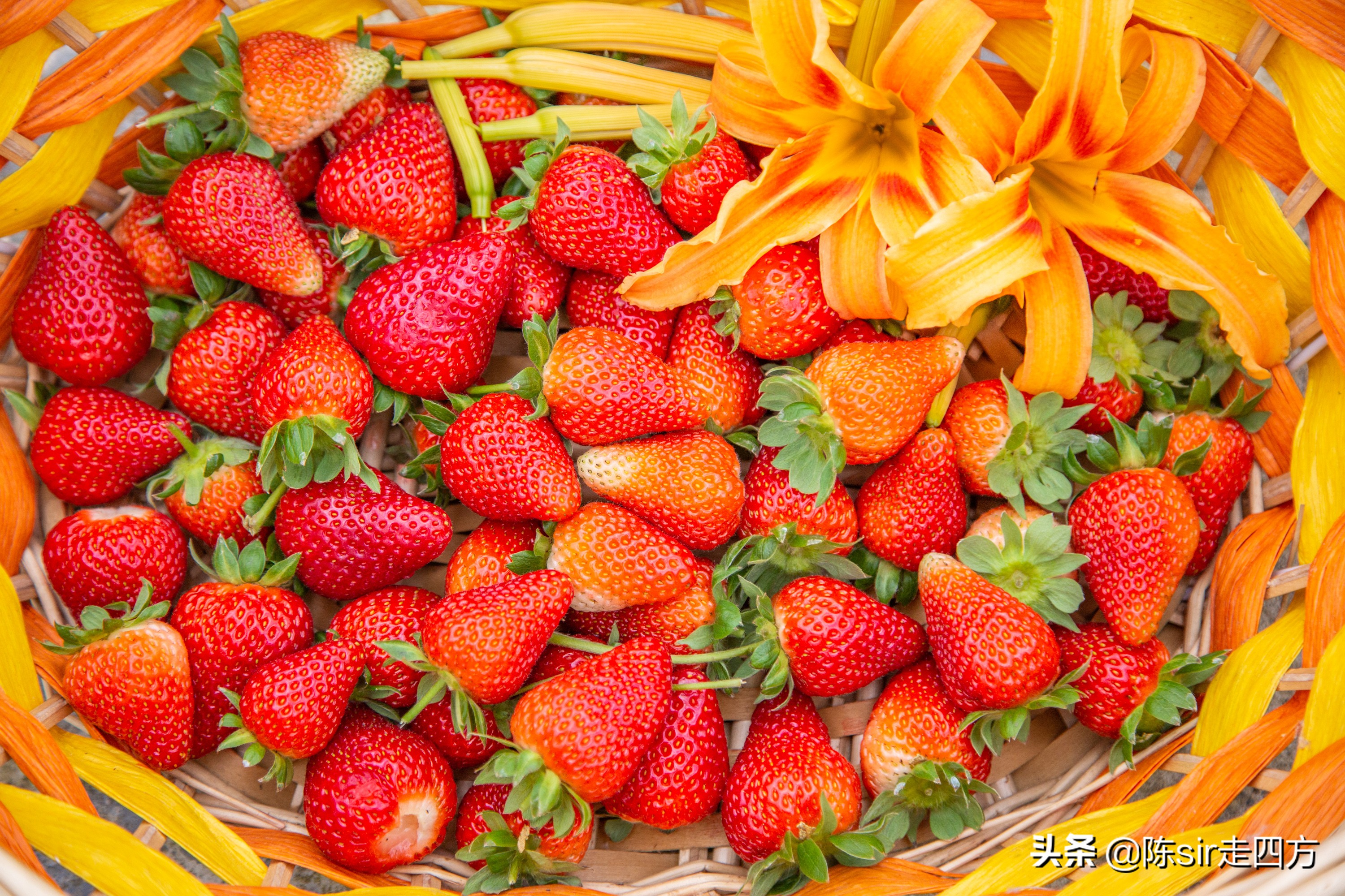 重庆到桐梓自驾游攻略路线,重庆到贵州桐梓三日游最佳路线图