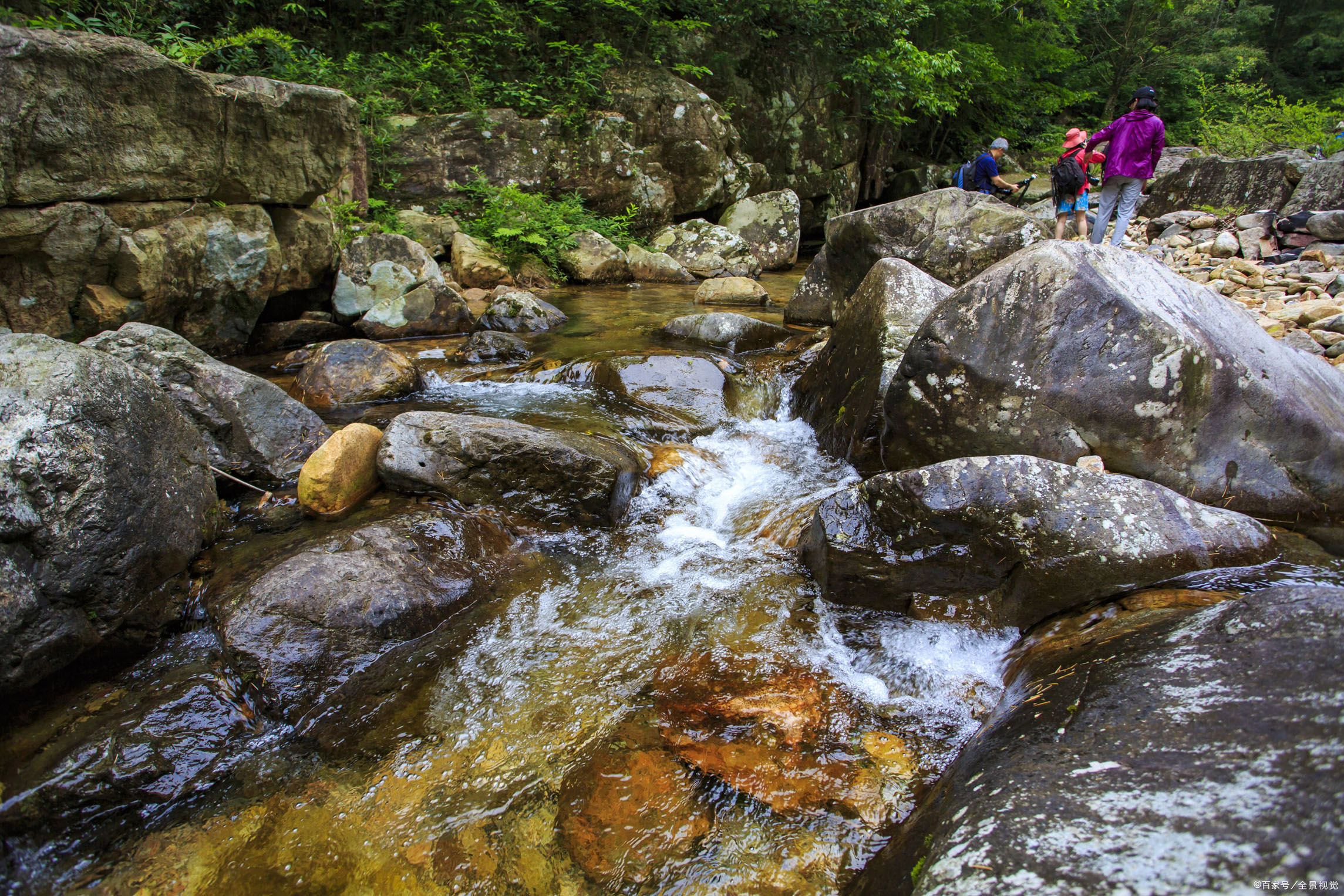 四季轮回又浅秋,葵花向阳乐难休/邢桂珍诗词(六首)