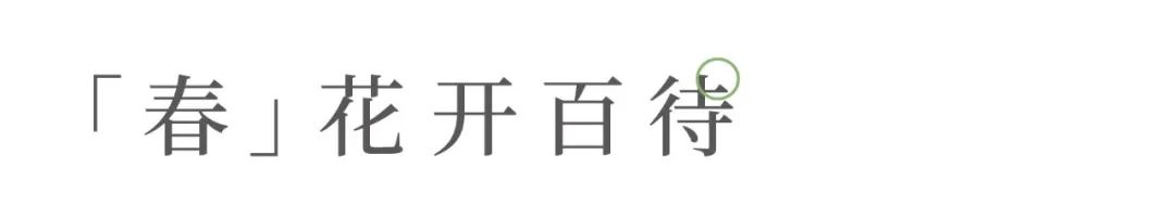 关于我们的茶生活的美文,茶与生活的美文