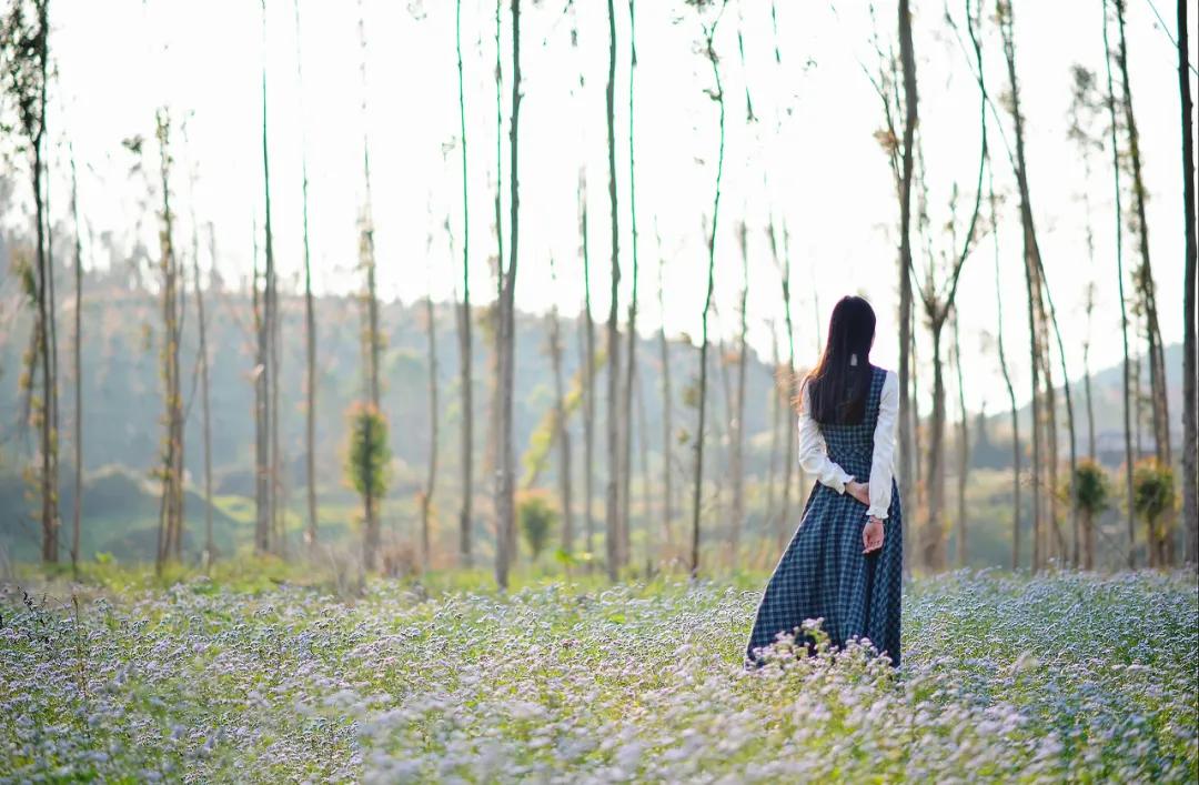 村上春树最经典的语录是什么,村上春树最扎心的5句话