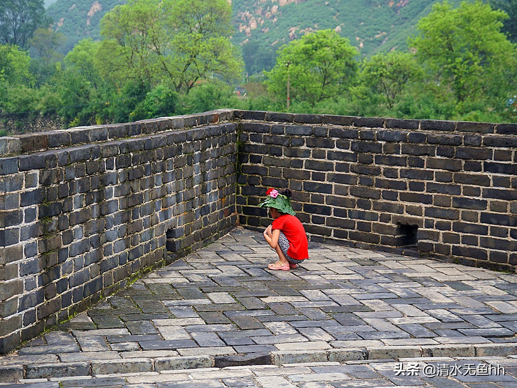 铁马冰河入梦来是什么意思,铁马冰河入梦来的上一句是什么