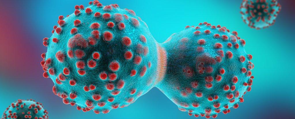 治愈癌症还有多远？科学家成功标记肿瘤干细胞，锁定“癌症之源”