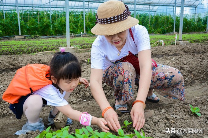 这个夏日，看这个美女如何在浙江乌村的第一百种玩法