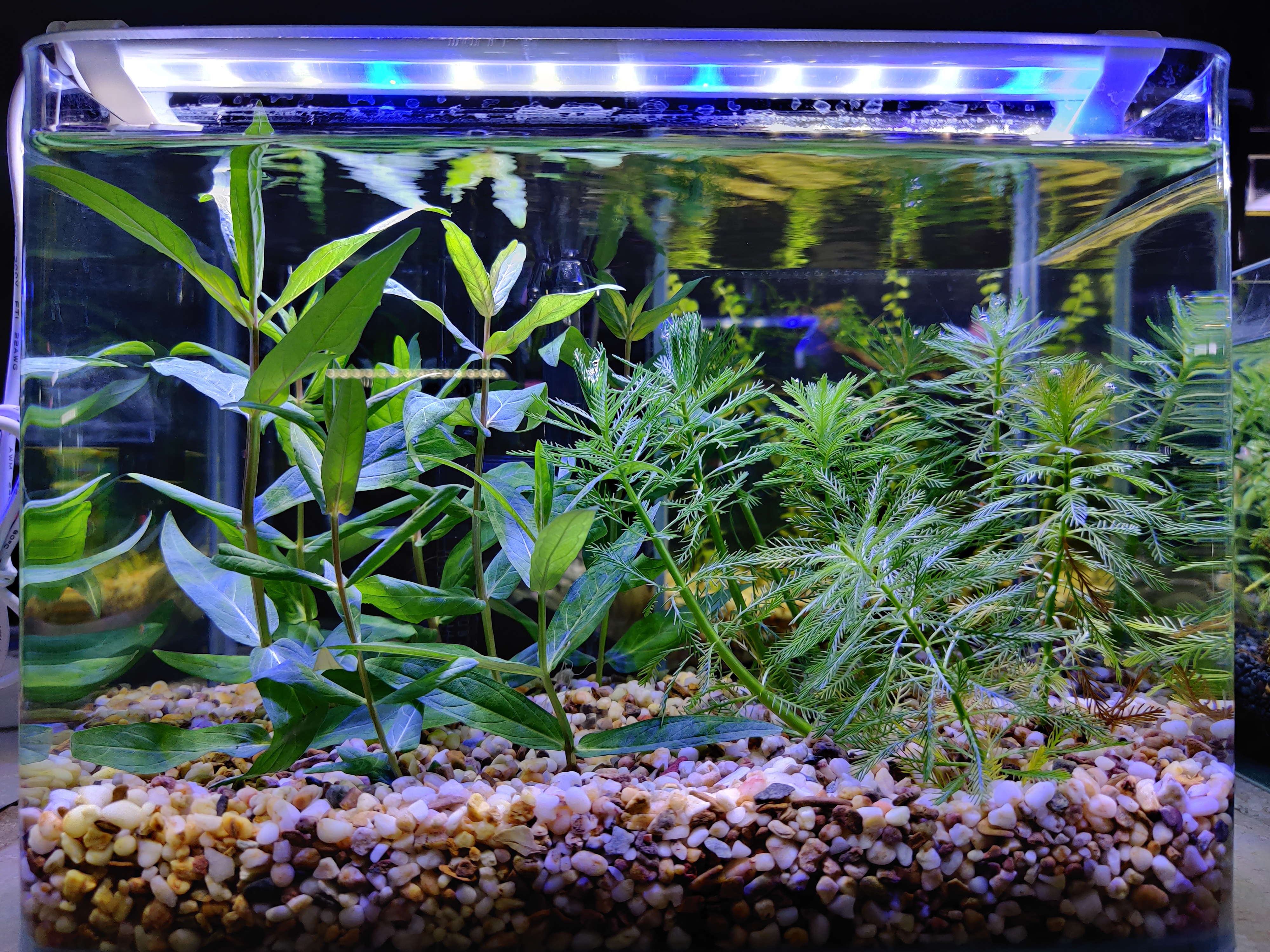 预算只有200元可以买一套路亚吗,预算只有200不在网上买能买什么