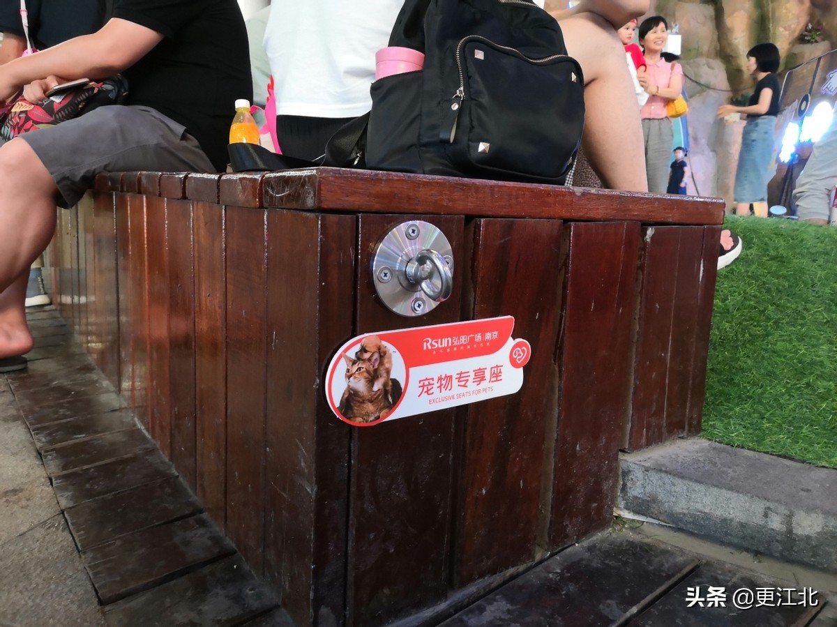 南京弘阳广场宠物,宠物友好商场南京浦口