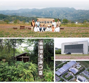 蜂王浆睡眠面膜推荐,蜂花睡眠面膜