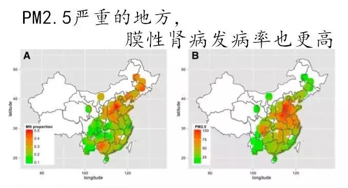 膜性肾病保守治疗是怎么治啊,膜性肾病的最佳治疗方法