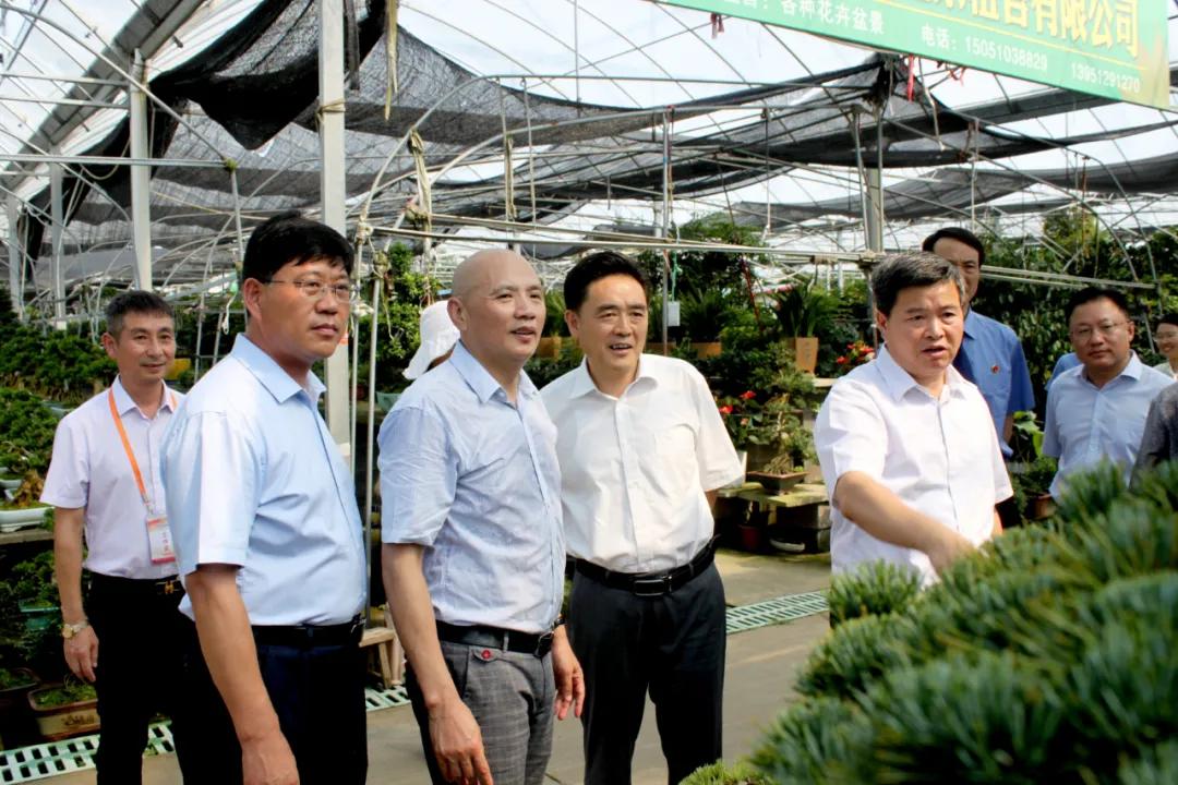 宿迁市沭阳县沭阳国际花木城,沭阳国际花木城布局