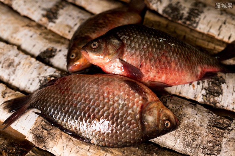 致富商机农村冷门小型加工厂,农村冷门小本创业生意