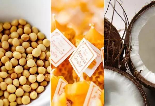 室内香水味道哪种好闻又持久,好闻的香水气味有哪些