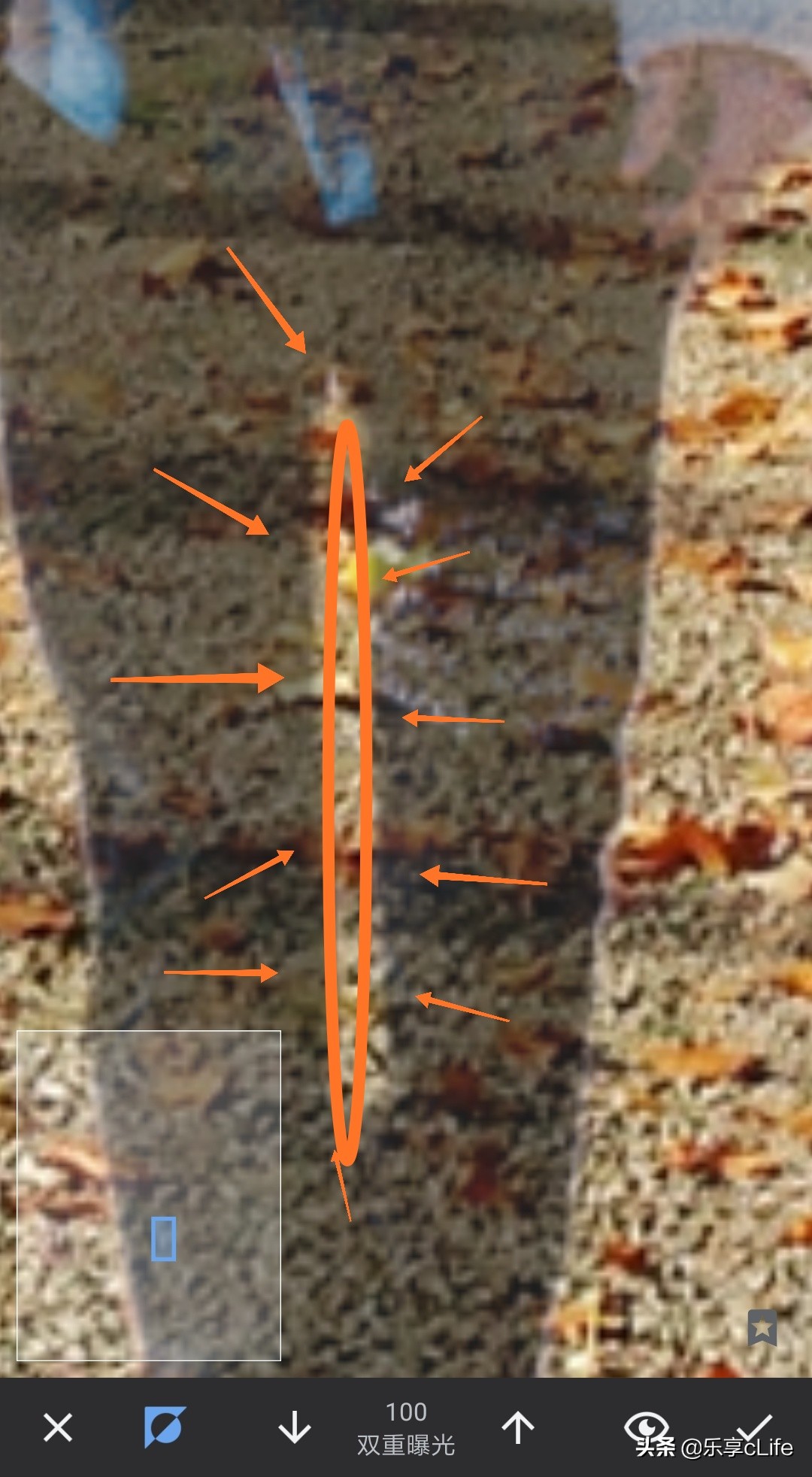 snapseed虚化人物背景,snapseed抠图换背景