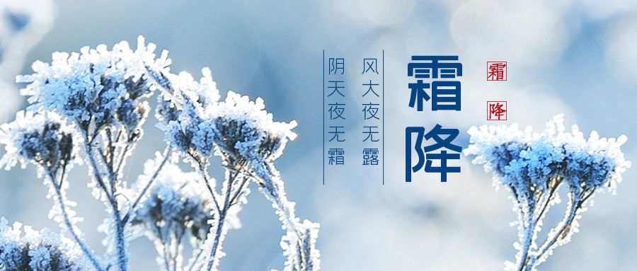 记录陪伴你的每一刻,陪伴左右最可贵