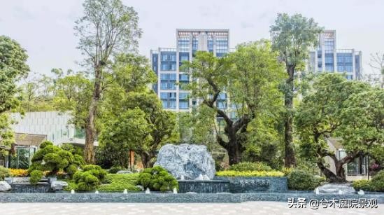 广场园林景观设计有哪些,园林景观设计墙角