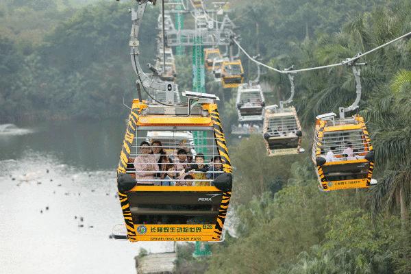 广州三八妇女节特惠景点晚上,广州哪里有三八妇女节免费景点