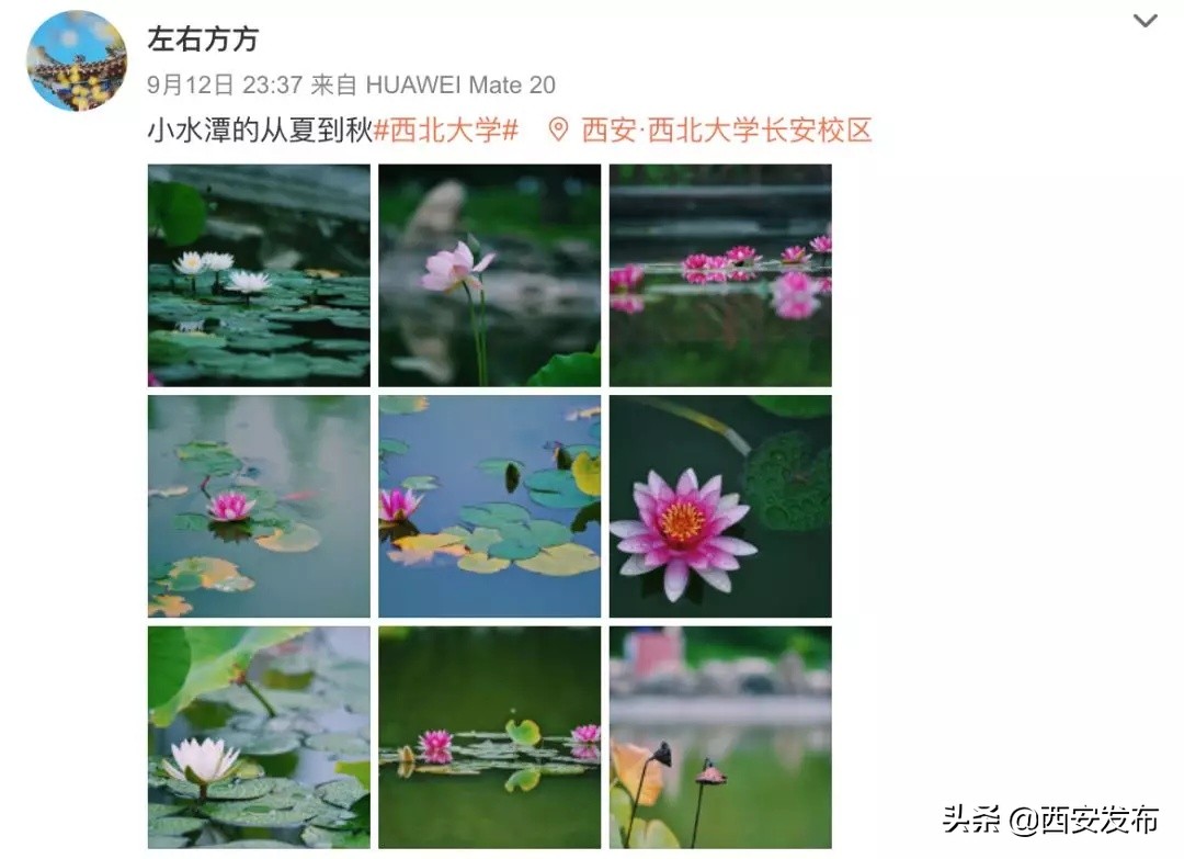 话题阅读量最多,话题阅读量破50