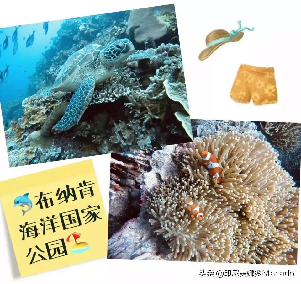 做攻略太辛苦?不如先看看美女博主的美娜多游记