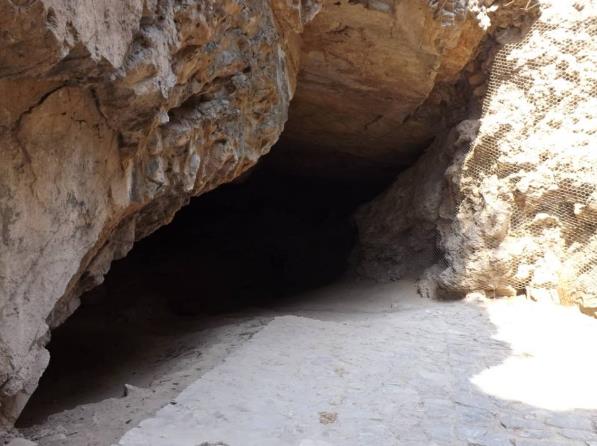 人类的祖先是怎样生活的60字,人类祖先最早发明的房子